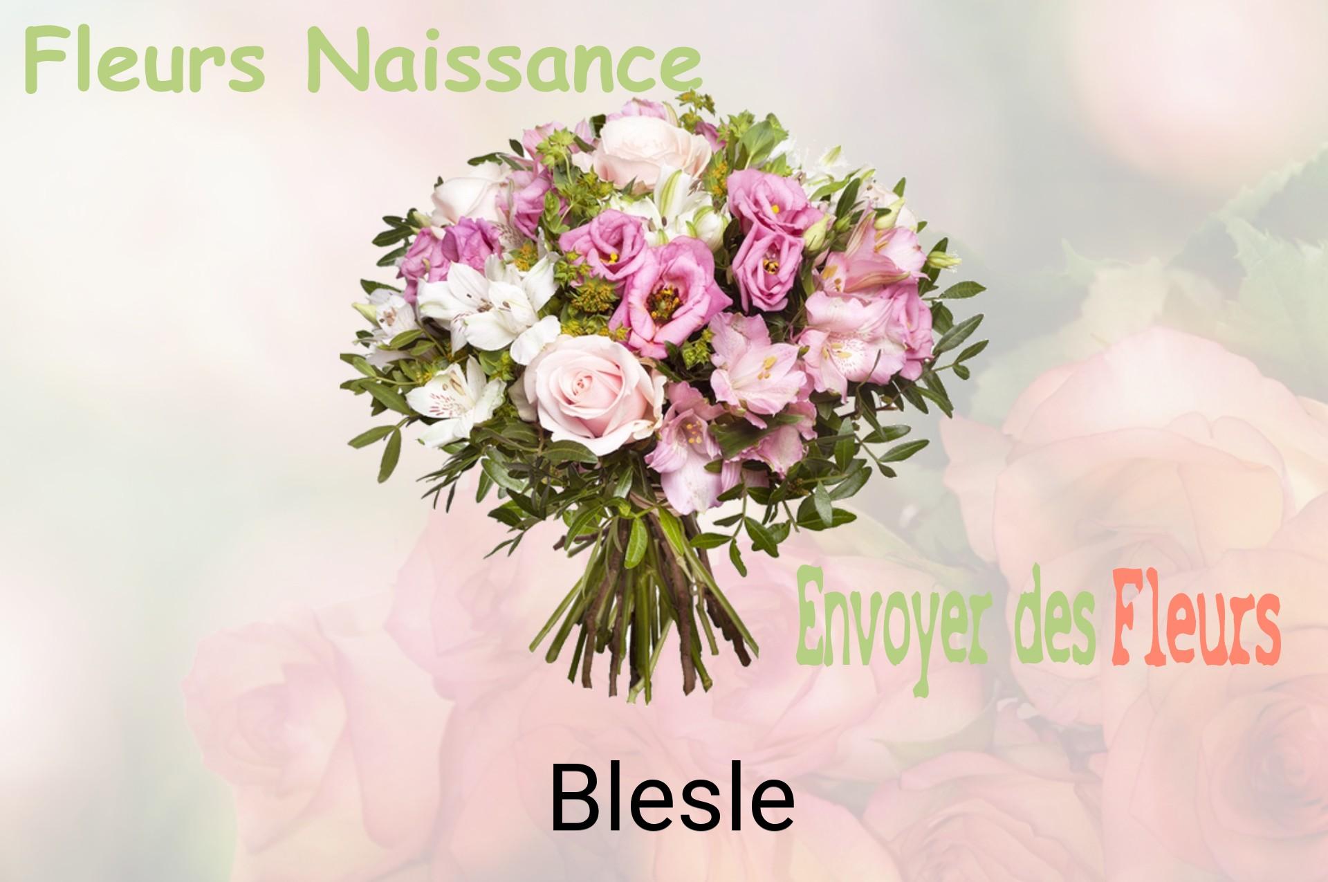 Bouquet de fleurs de naissance livré à Blesle